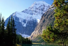 高芙赛后谦逊发言登热搜，国际米兰鏖战菲尼克斯太阳引发热议的简单介绍